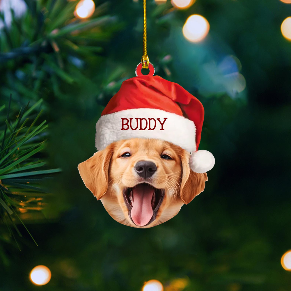 Custom Pet Christmas Ornament, Upload Dog & Cat Picture with Name Personalized Holiday Gift