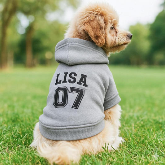 Personalized Name Dog Hoodie, Embroidered Puppy Sweater with Name/Text, Custom Pet Clothes Warm Winter Outfit for Dogs