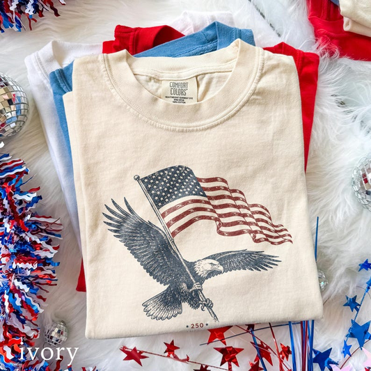 Comfort Colors Patriotic Eagle Flag Shirt, Vintage USA Graphic Tee, Fourth of July American Pride Shirt for Men Women, 250th Anniversary Shirt