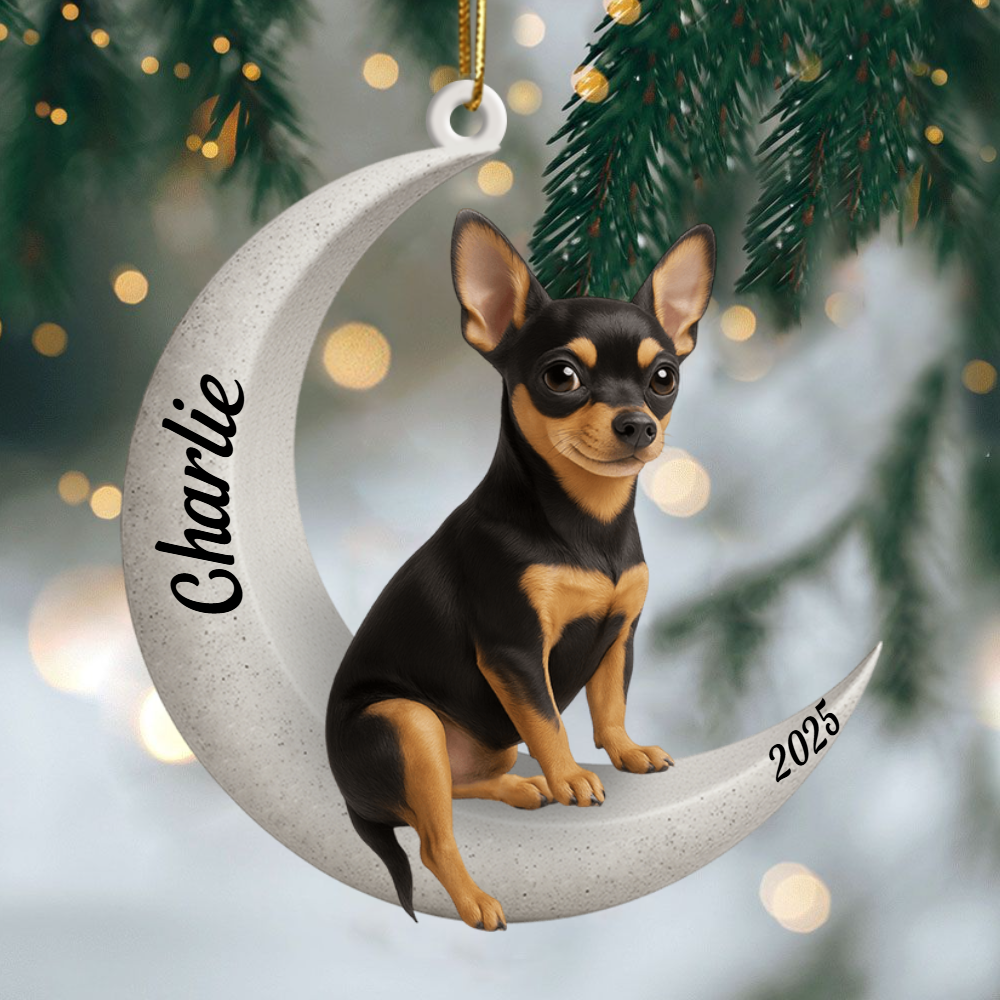 Custom Miniature Pinscher On The Moon Ornament 2025, Custom Double-Sided Acrylic Decoration, Unique Christmas Gift For Dog Lovers Ornament
