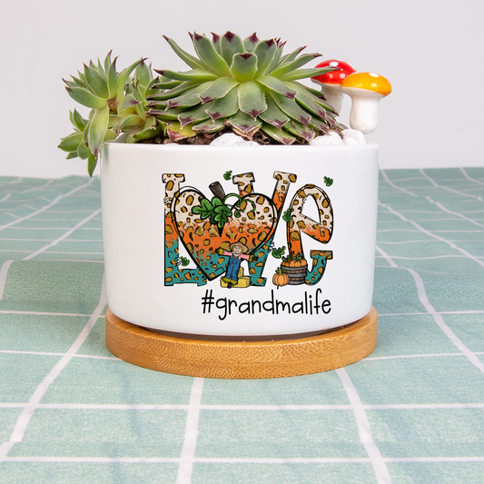 Love Grandmalife Leopard Leaves Pumpkin Plant Pot