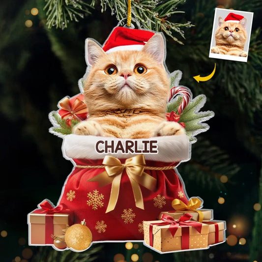 Custom Pet Photo Acryclic Ornament, Personalized Christmas Decoration With Pet Picture & Name Keepsake 2025
