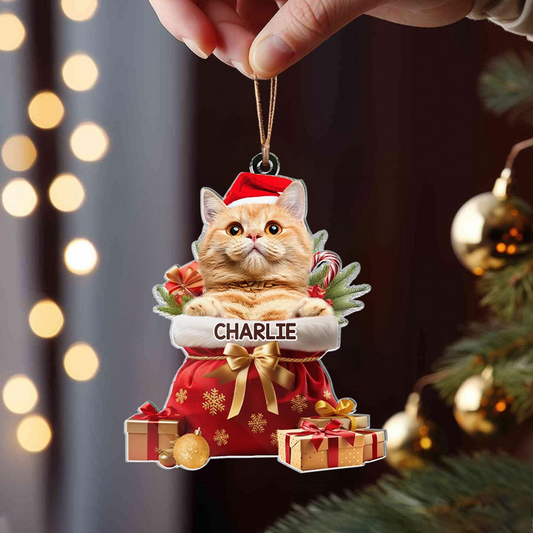 Custom Pet Photo Acryclic Ornament, Personalized Christmas Decoration With Pet Picture & Name Keepsake 2025