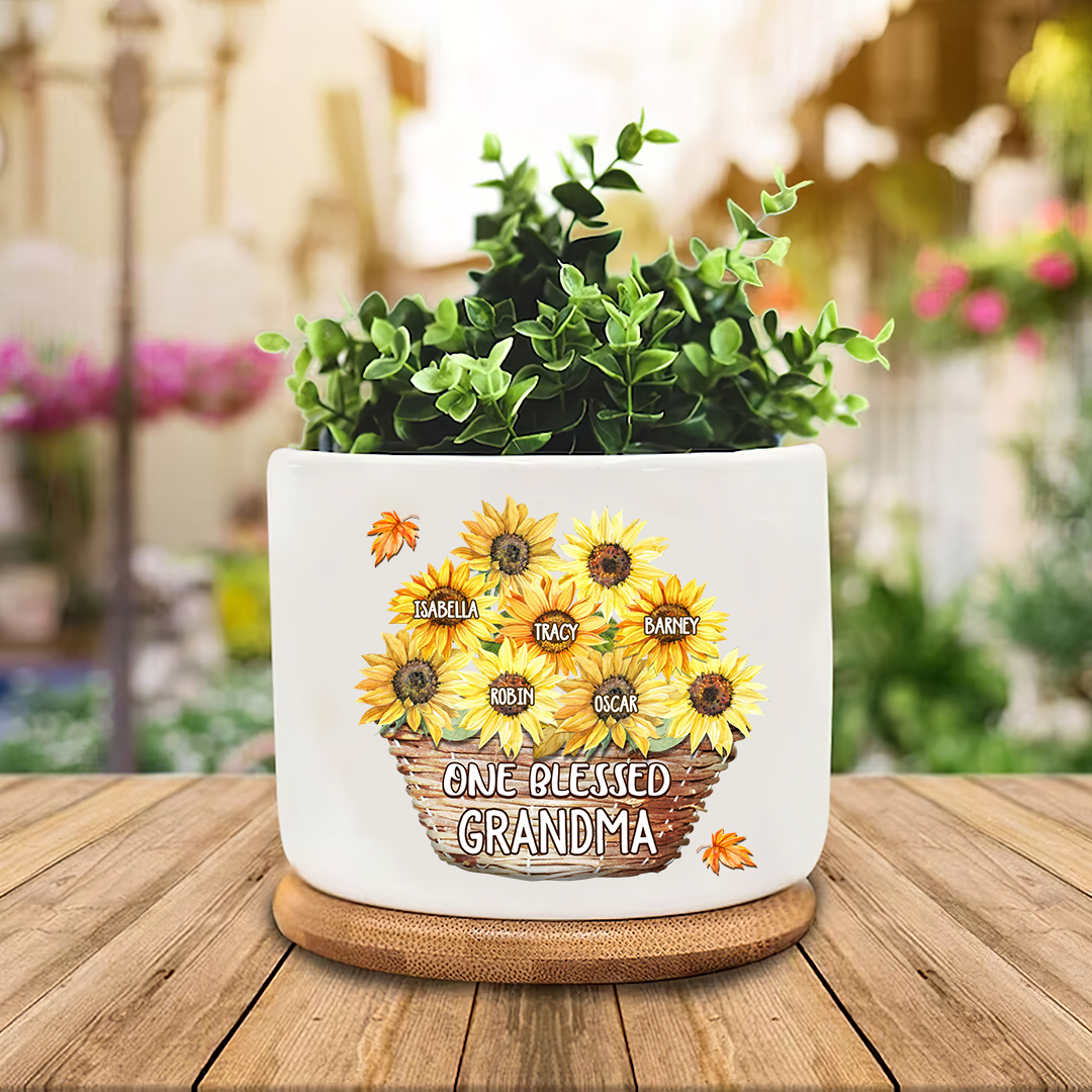Flower Basket For Grandma Plant Pot
