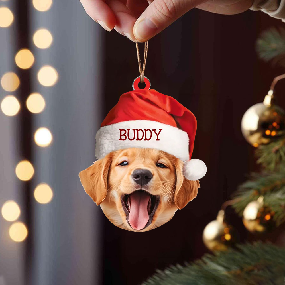 Custom Pet Christmas Ornament, Upload Dog & Cat Picture with Name Personalized Holiday Gift