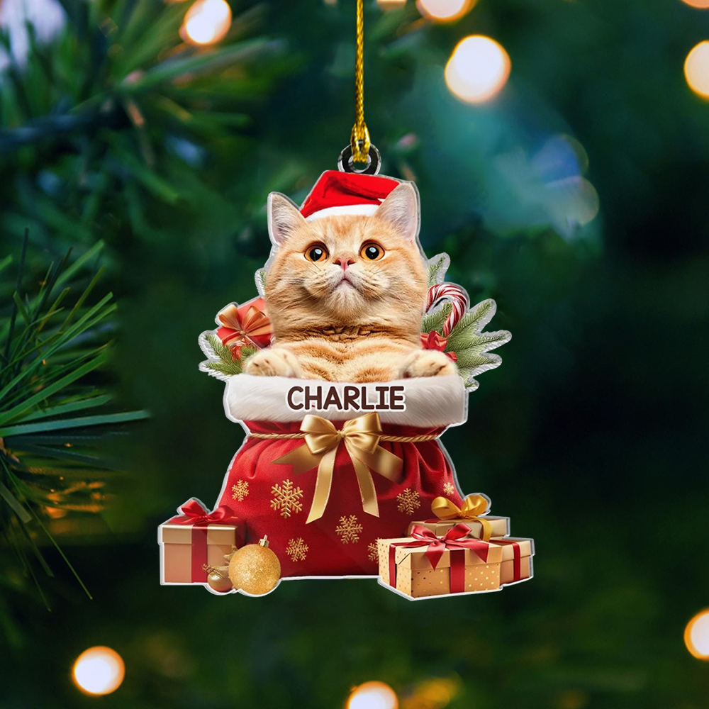 Custom Pet Photo Acryclic Ornament, Personalized Christmas Decoration With Pet Picture & Name Keepsake 2025