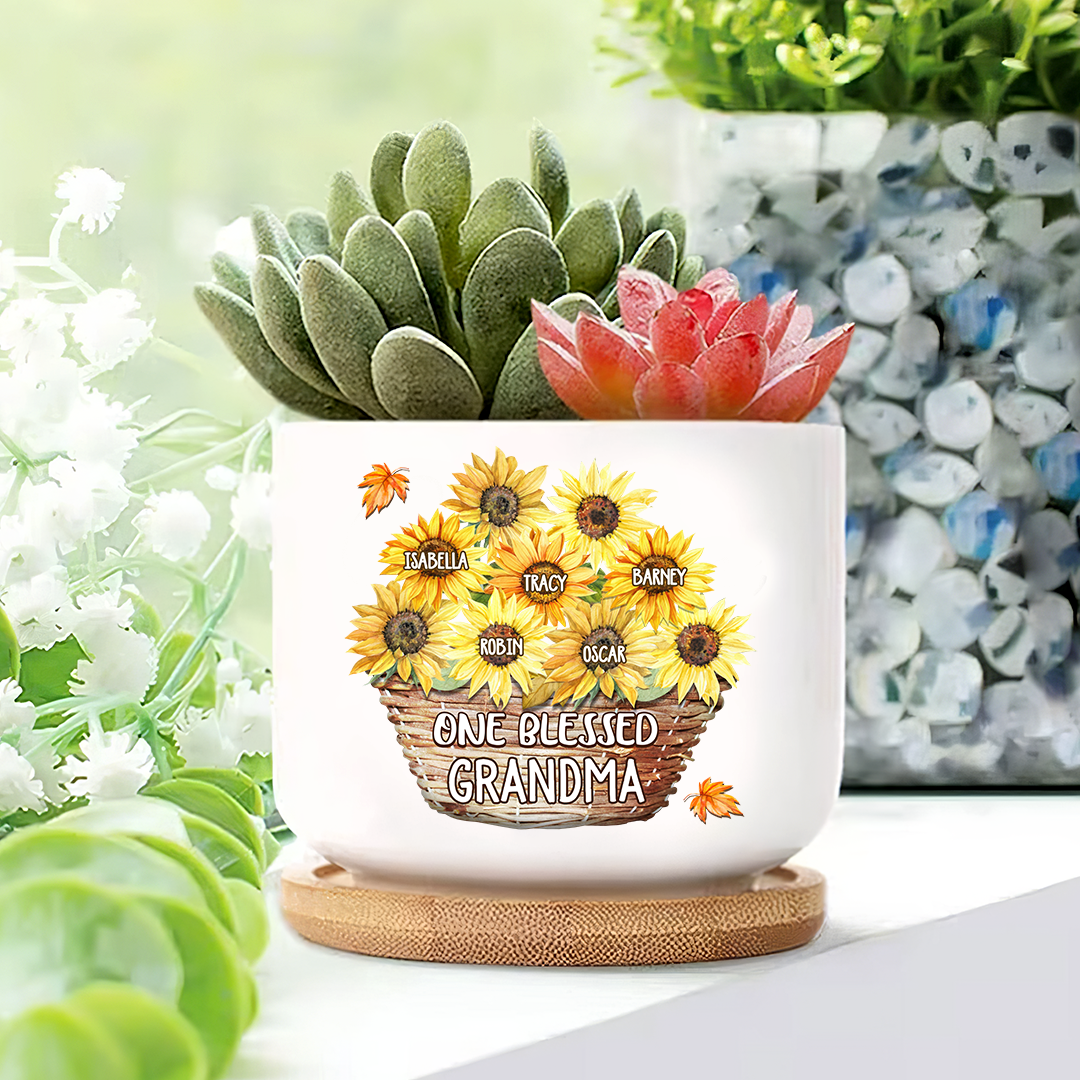 Flower Basket For Grandma Plant Pot