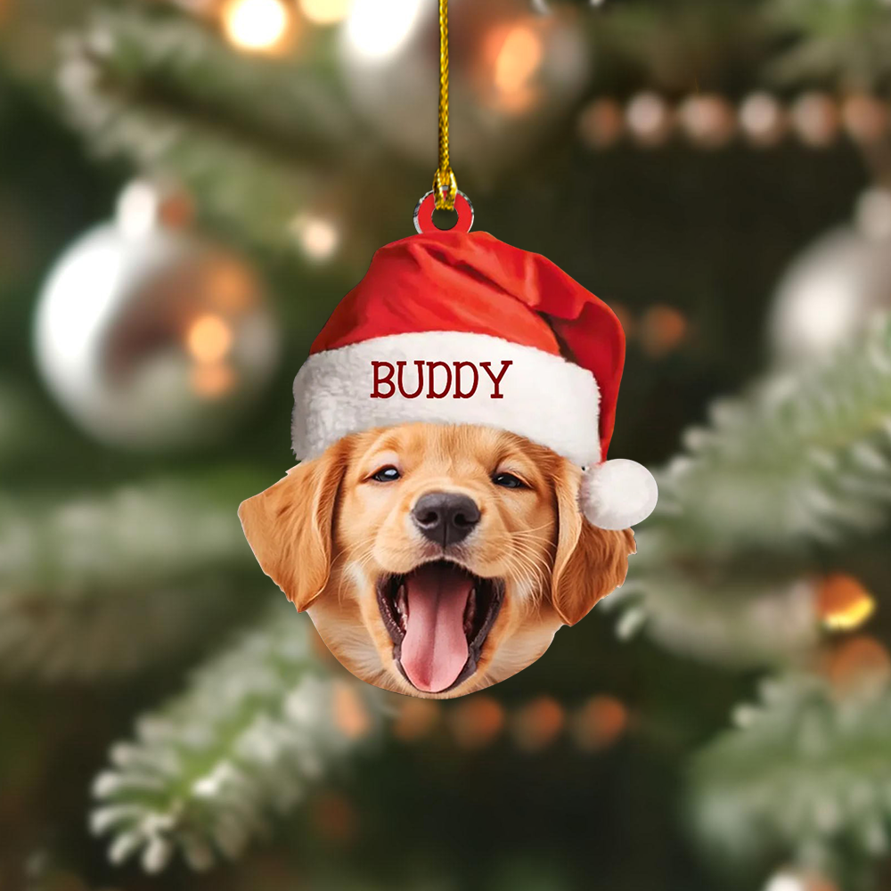 Custom Pet Christmas Ornament, Upload Dog & Cat Picture with Name Personalized Holiday Gift