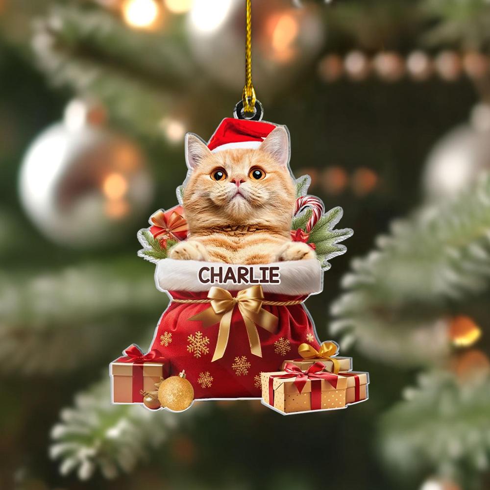 Custom Pet Photo Acryclic Ornament, Personalized Christmas Decoration With Pet Picture & Name Keepsake 2025
