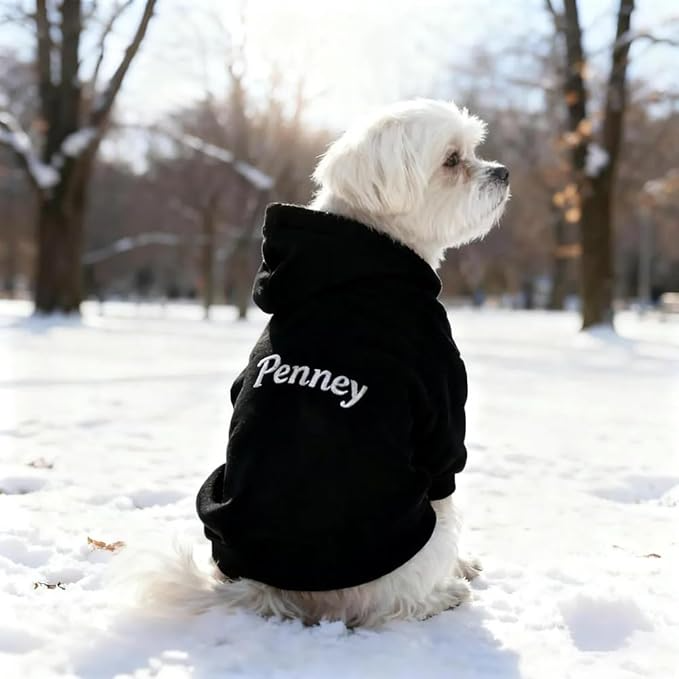 Custom Name Embroidered Dog Hoodie, Embroidery Dog Sweaters for Small Dogs, Pet Clothes, Pet Mom Lovers Gifts