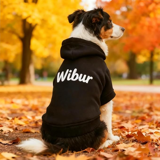 Custom Embroidered Dog Hoodie, Embroidery Dog Sweaters for Small Dogs, Add Your Own Text, Pet Clothes, Pet Mom Lovers Gifts