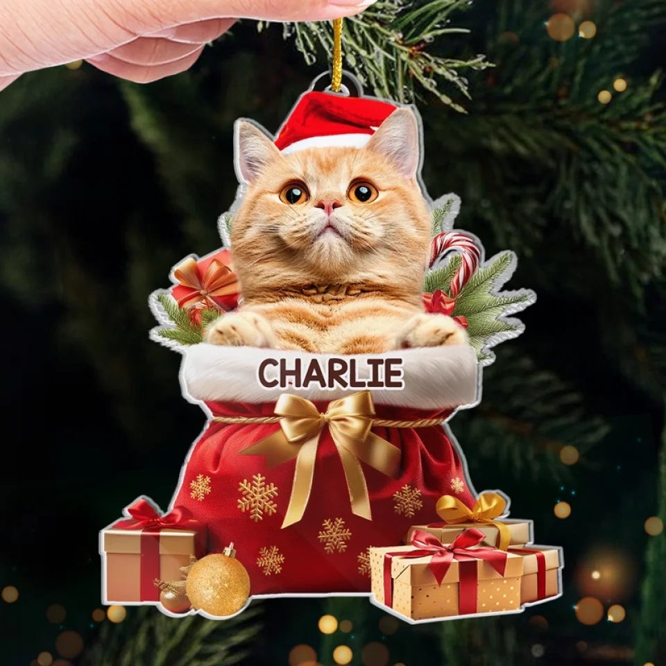 Custom Pet Photo Acryclic Ornament, Personalized Christmas Decoration With Pet Picture & Name Keepsake 2025