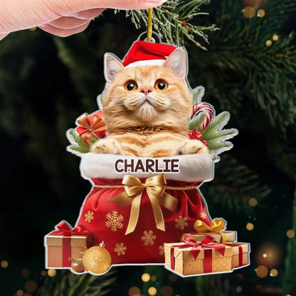 Custom Pet Photo Acryclic Ornament, Personalized Christmas Decoration With Pet Picture & Name Keepsake 2025
