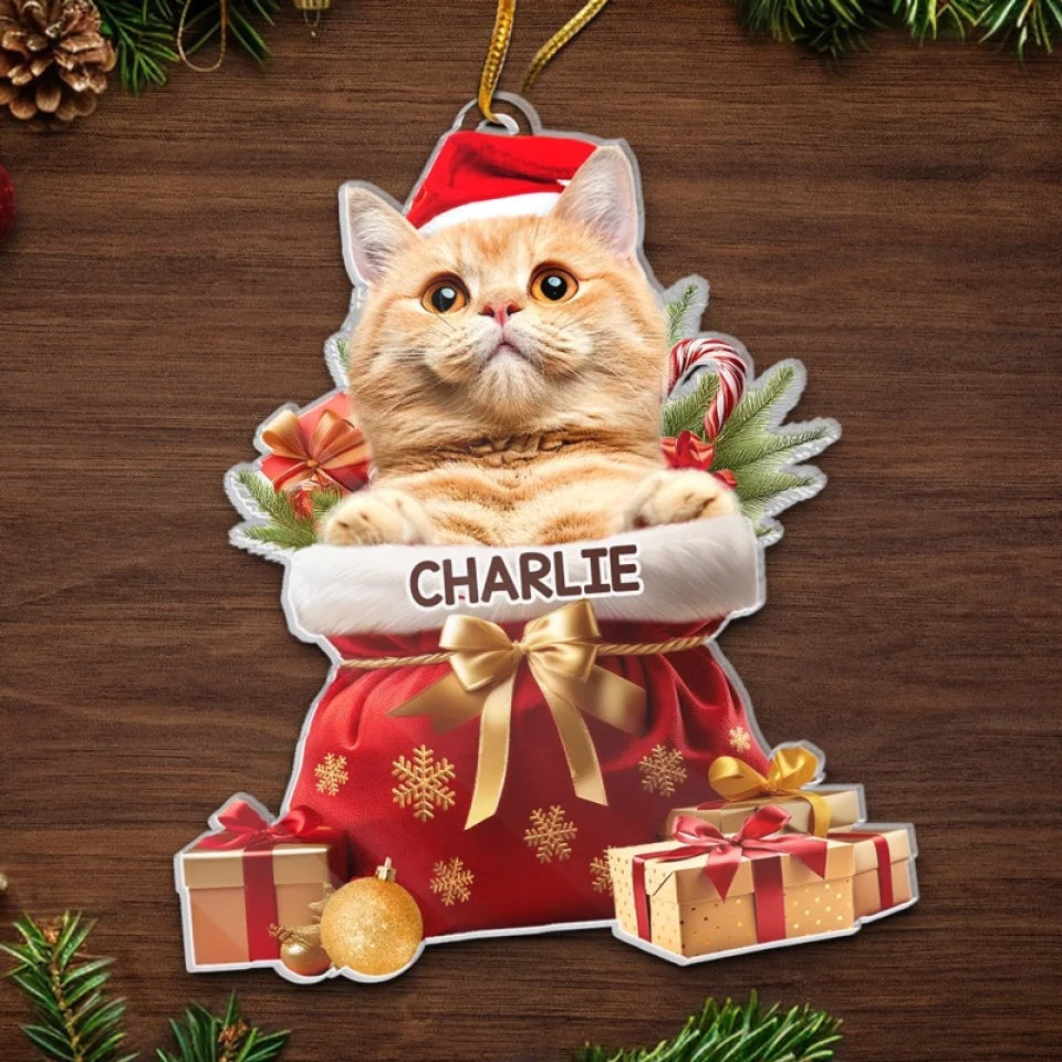 Custom Pet Photo Acryclic Ornament, Personalized Christmas Decoration With Pet Picture & Name Keepsake 2025