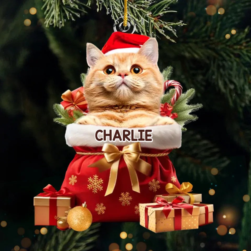 Custom Pet Photo Acryclic Ornament, Personalized Christmas Decoration With Pet Picture & Name Keepsake 2025