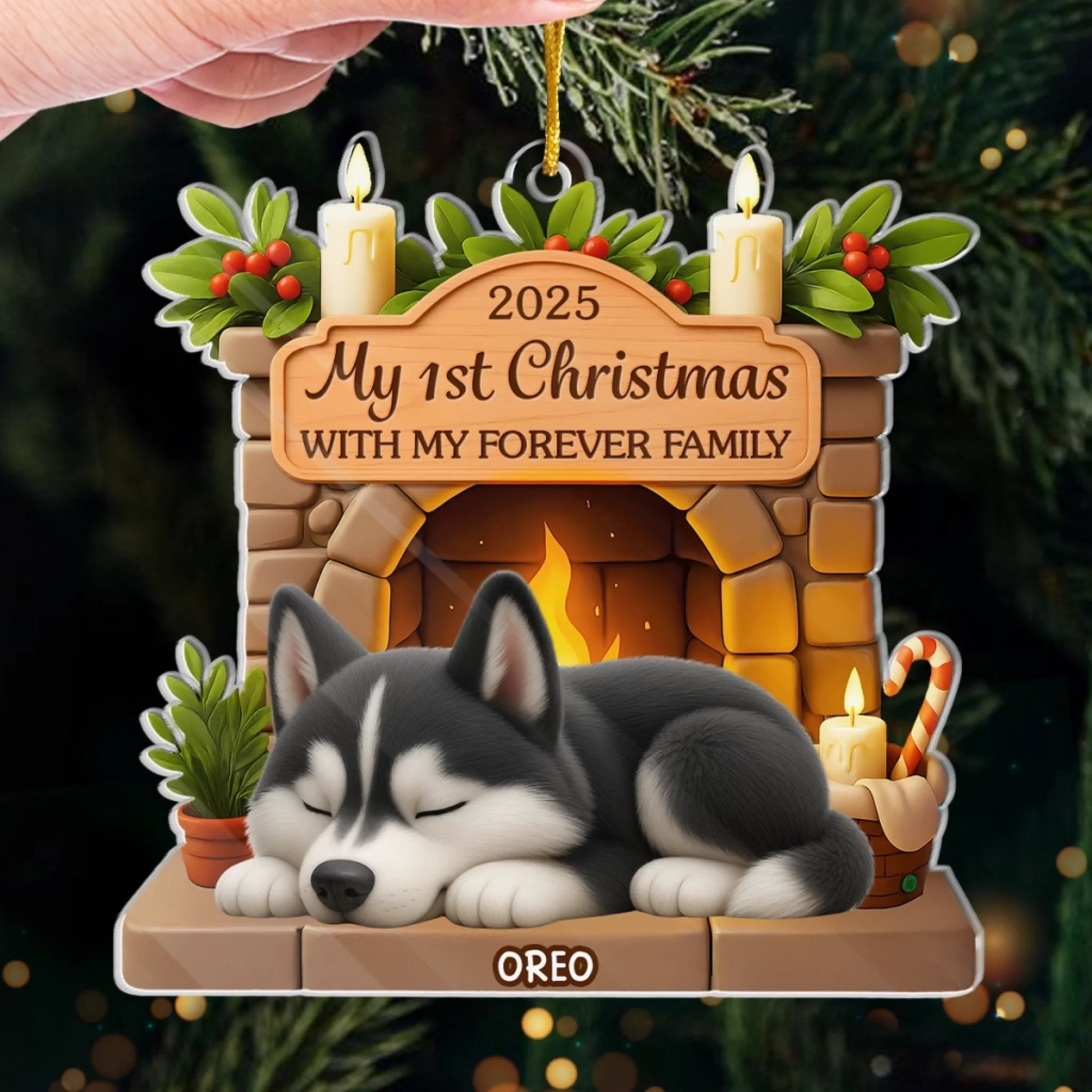 Custom First Christmas Acrylic Ornament – Personalized Dog Ornament Gift for Dog Mom & Dad – Pawsitively Loved This Christmas Ornament Test
