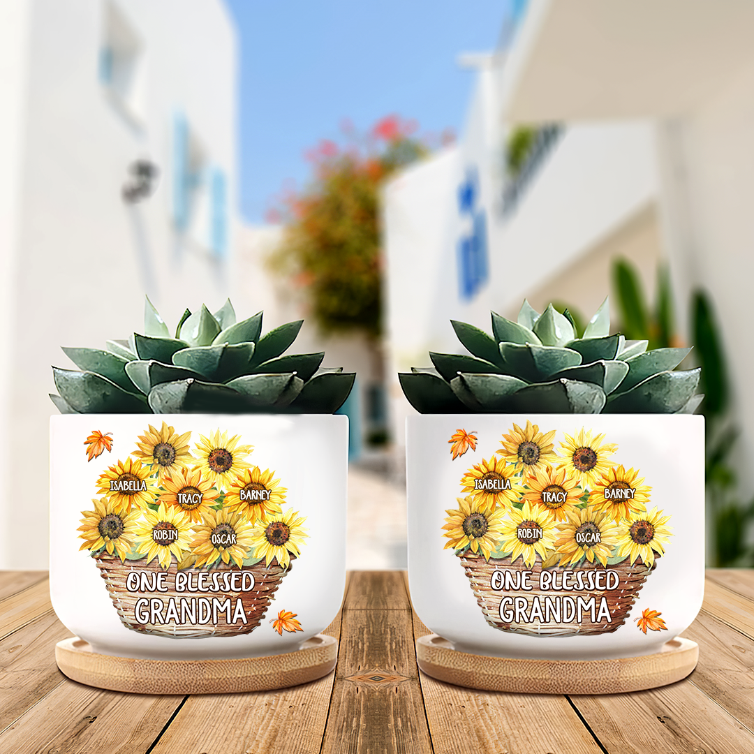Flower Basket For Grandma Plant Pot