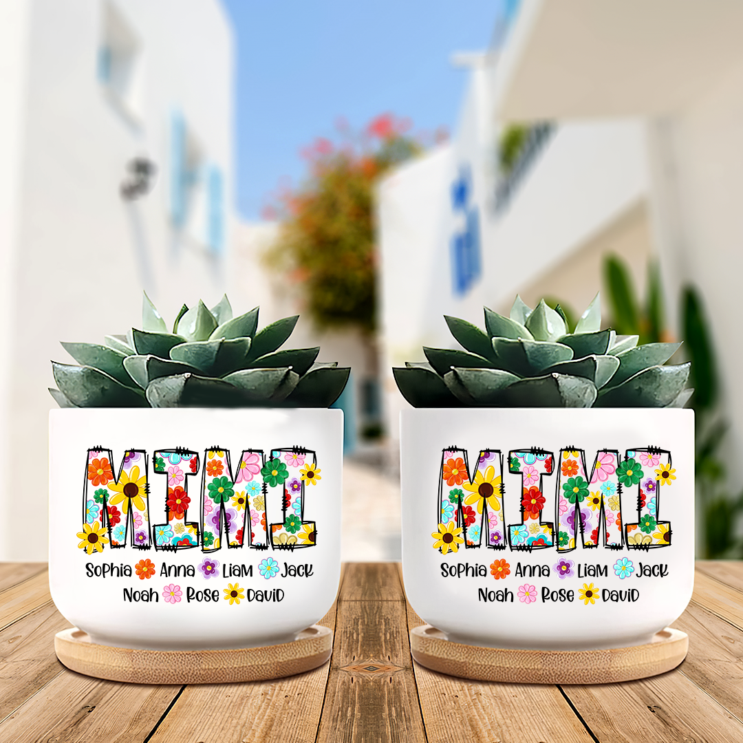 Colorful Flower Gradma Plant Pot
