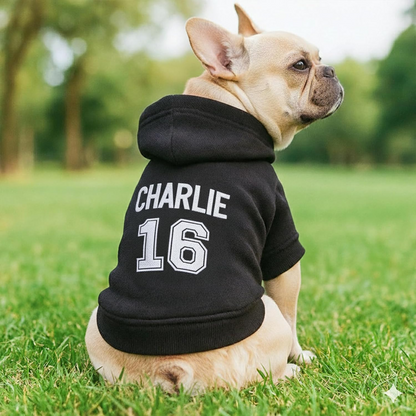 Personalized Name Dog Hoodie, Embroidered Puppy Sweater with Name/Text, Custom Pet Clothes Warm Winter Outfit for Dogs