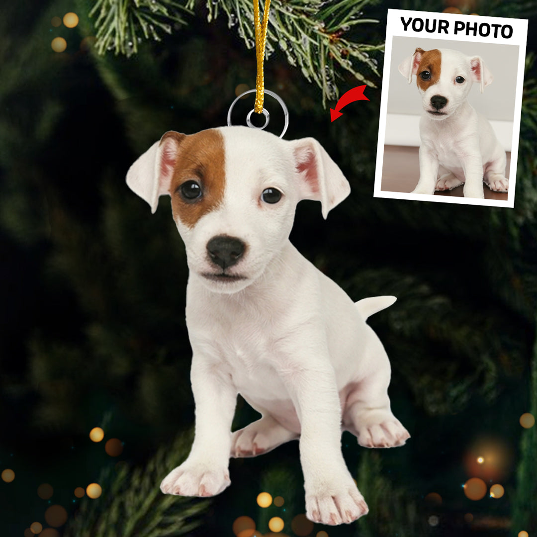 Personalized Pet Ornament 2025, Custom Photo Acrylic Decoration, Pugs And Kisses Christmas Gift For Dog & Cat Lovers, Pet Owners & Animal Lovers