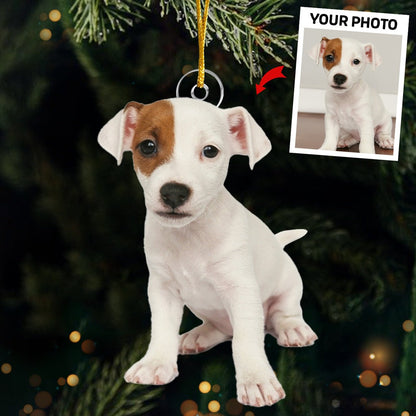 Custom Pet Photo Ornament, Personalized Dog & Cat Picture Christmas Tree Decoration 2025