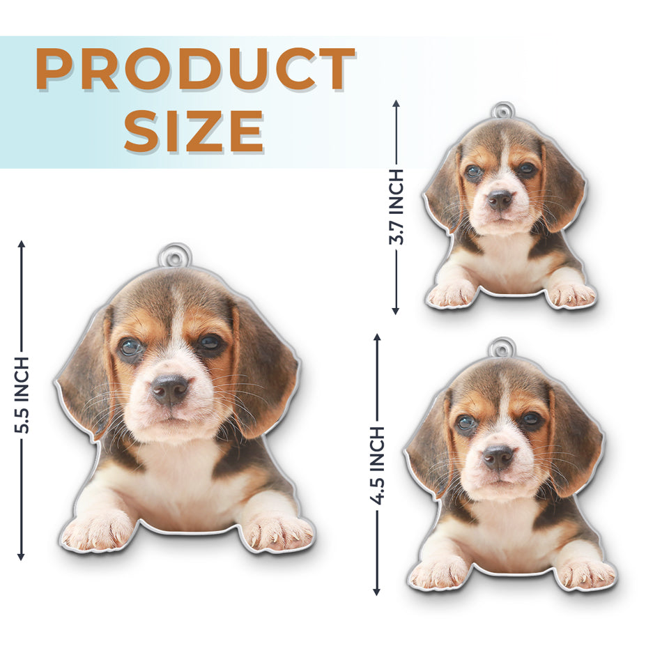 Personalized Pet Ornament 2025, Custom Photo Acrylic Decoration, Pugs And Kisses Christmas Gift For Dog & Cat Lovers, Pet Owners & Animal Lovers