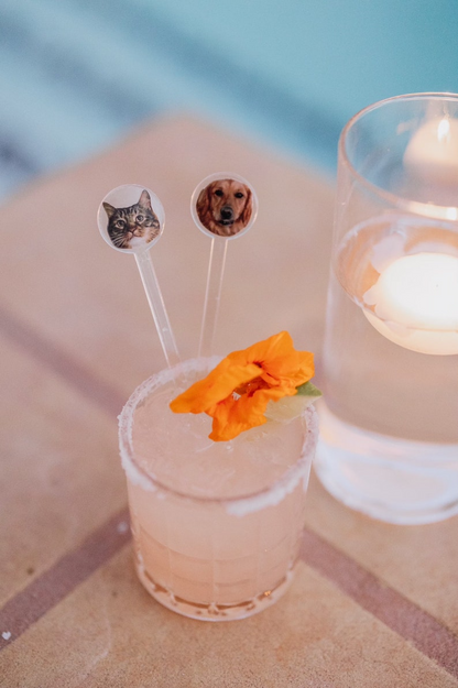 Custom Drink Stirrer, Wedding Drink Stick Stirrer, Dog, Cat, Pet, Face, Great for Bachelor