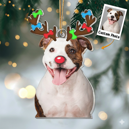 Christmas Reindeer Horn For Pet, Personalized Acrylic Photo Ornament