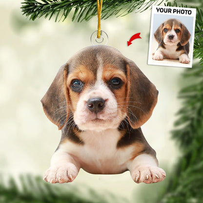 Custom Pet Photo Ornament, Personalized Dog & Cat Picture Christmas Tree Decoration 2025