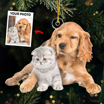 Custom Photo Christmas Gift From Santa, Dog & Cat Personalized Custom Ornament, Acrylic Custom Shaped, Christmas Gift For Pet Owners, Pet Lovers