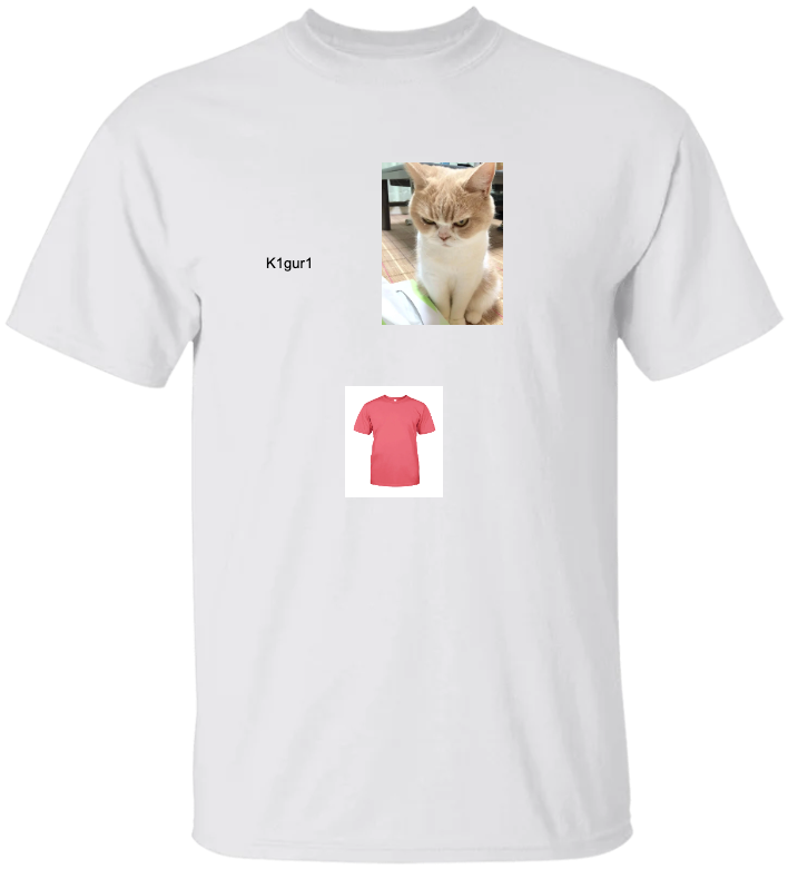 DEV2503TS T-Shirt