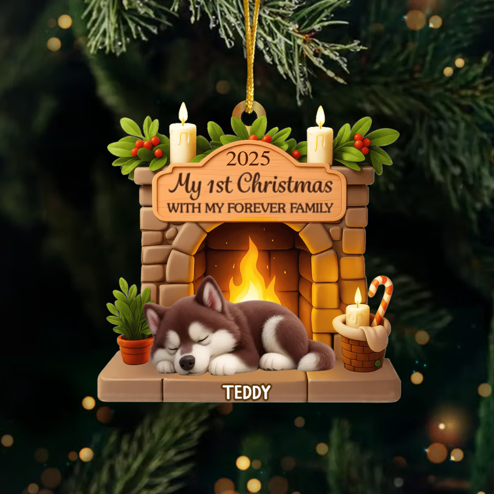 Custom First Christmas Acrylic Ornament – Personalized Dog Ornament Gift for Dog Mom & Dad – Pawsitively Loved This Christmas Ornament Test