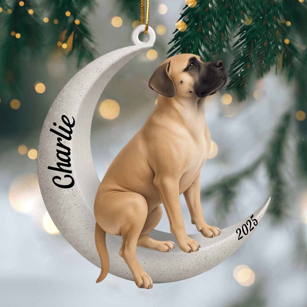Custom Doberman Pinscher On The Moon Ornament 2025, Custom Double-Sided Acrylic Decoration, Unique Christmas Gift For Dog Lovers Copy Ornament