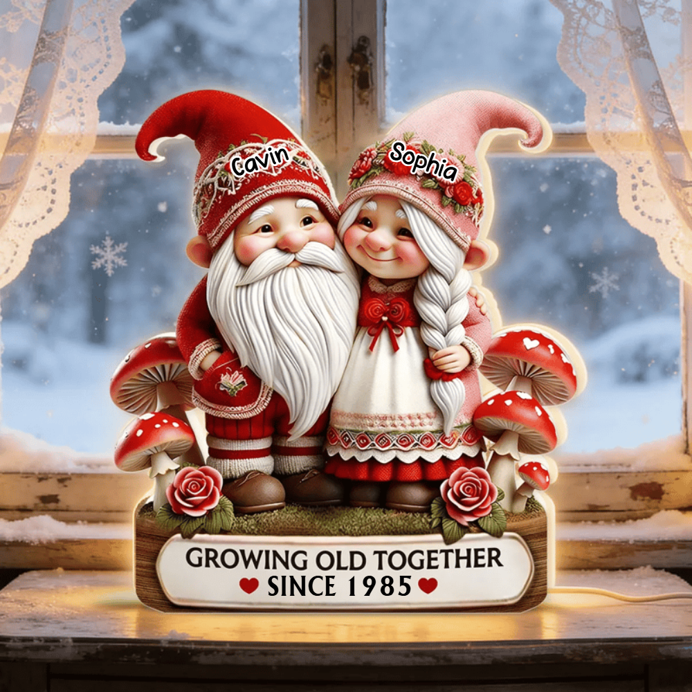 Custom Gnome Couple Growing Old Together 3D Effect, Personalized Light Box Valentine Gift for Couple Light Box