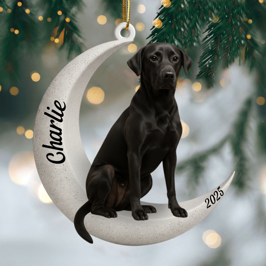 Custom Black Labrador On The Moon Ornament 2025, Custom Double-Sided Acrylic Decoration, Unique Christmas Gift For Dog Lovers Ornament