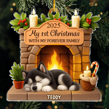 Custom Alaskan Malamute Acrylic Ornament, Custom Pet Design, Unique Christmas Gift for Dog Moms, Dads & Animal Lovers Ornament