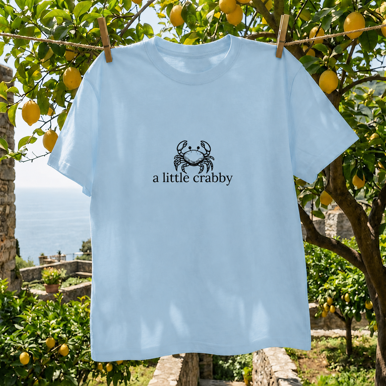 The Minimalist A Little Crabby Graphic TShirt